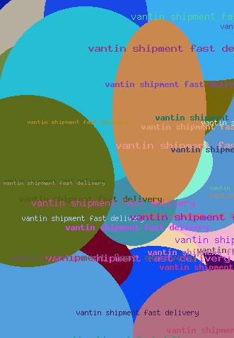 Vantin Shipment Fast Delivery
